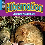 A book cover features a light brown hamster or similar small rodent curled up and sleeping soundly amidst dry grass and leaves, with its tiny pink paws visible, and the word "Hibernation" in blue and yellow letters across the top.