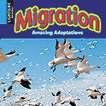 A book cover shows a multitude of white birds with black wingtips in various stages of flight against a blue sky, some close-up and others in the distance, and the word "Migration" in red and yellow letters across the top.