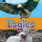 Eagles 🔊