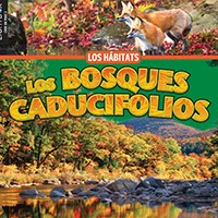 A book cover features two red foxes amidst autumn leaves at the top, a broad green band with the Spanish title "Los Bosques Caducifolios" in large yellow and orange letters in the middle, and a scenic view of a river reflecting autumn foliage along its banks at the bottom.