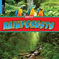 Rainforests 🔊