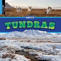 A book cover features three caribou in a sparse, brownish landscape under a bright sky at the top, a blue band with the title "Tundras" in large yellow and green letters in the middle, and a vast, snow-covered tundra landscape with a small stream in the foreground and mountains in the distance at the bottom.