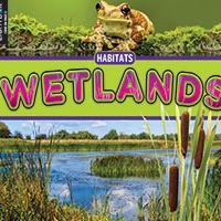 A book cover features a light brown frog with dark spots on a mossy log at the top, a broad green and purple band with the title in large pink and yellow letters in the middle, and a wetland scene with a blue body of water, green reeds, and brown cattails at the bottom.