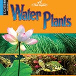 A book cover is divided into three horizontal sections: the top section is orange with blue text, the middle section features a pink and white water lily with green leaves and tall green aquatic plants, and the bottom section shows an underwater scene with a turtle and small fish among rocks and plants.