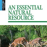 A book cover showing deer walking in a forest