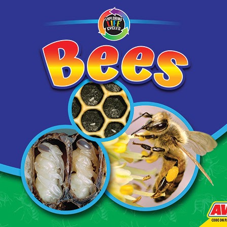 Bees  🔊
