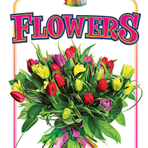 A book cover showing a bouquet of tulips