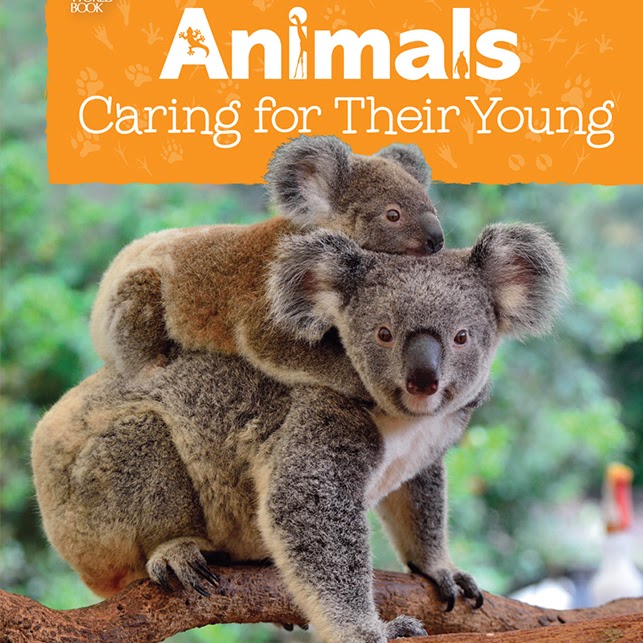 Animals Caring for their Young 🔊