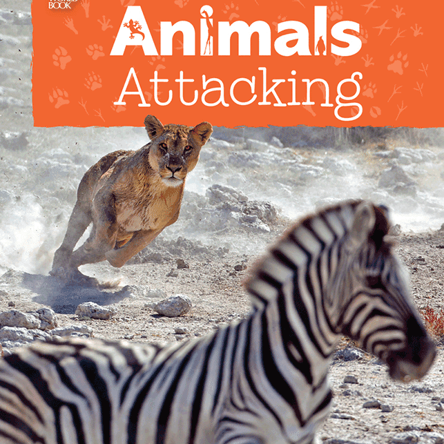 Animals Attacking 🔊