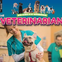 A book cover with a picture of a vet checking out a dog