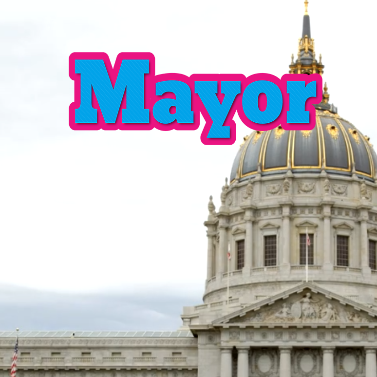 A book cover with a picture of a city government building