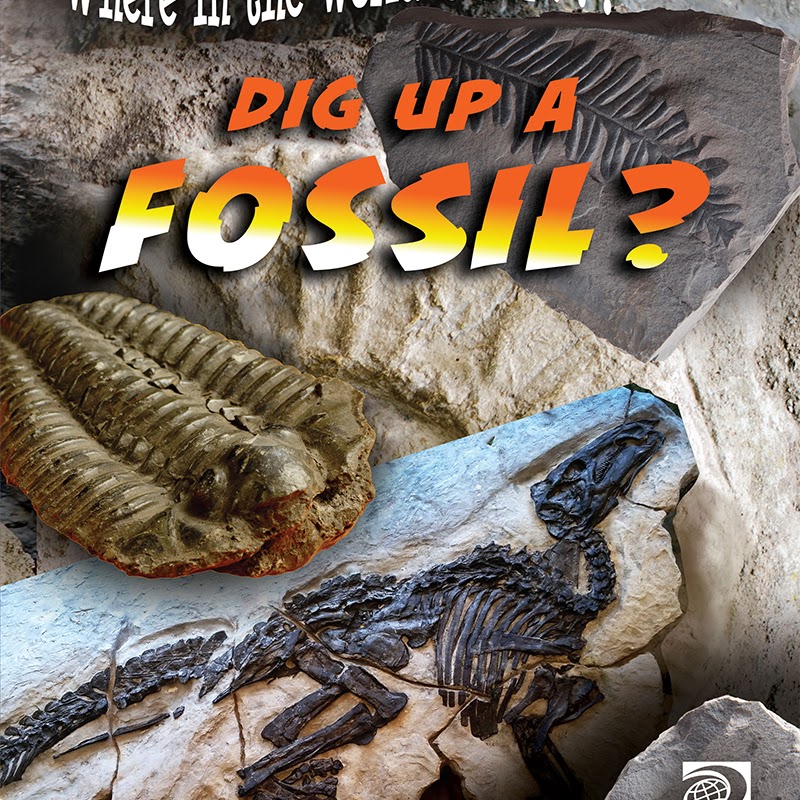 A book cover showing fossils