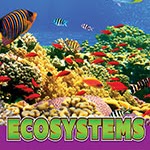A book cover showing a coral reef and fish swimming