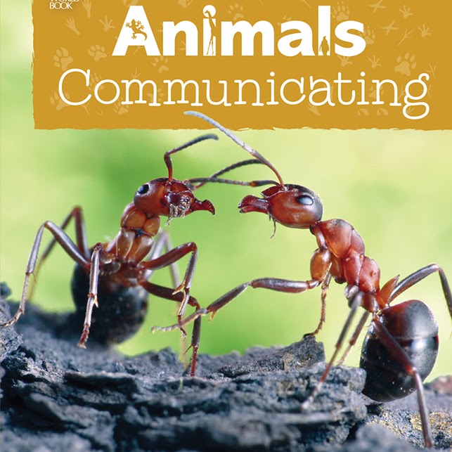 Animals Communicating 🔊