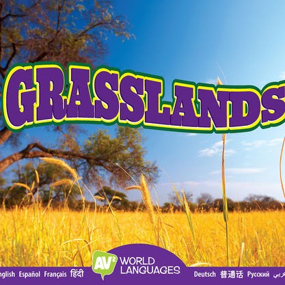 A book cover showing a golden grass field