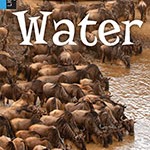 A book cover showing several horses drinking from a lake