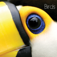 A book cover shows an extreme close-up of a toucan's eye, featuring a bright blue iris surrounded by yellow skin, next to its large yellow and black beak, with white feathers below.