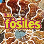 A close up of a fossil book cover