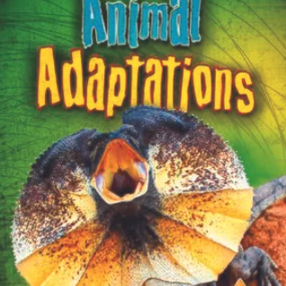 Animal Adaptations