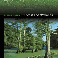 A book cover showing a swamp forest