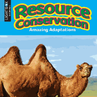 A book cover showing a camel with two humps looking at the camera
