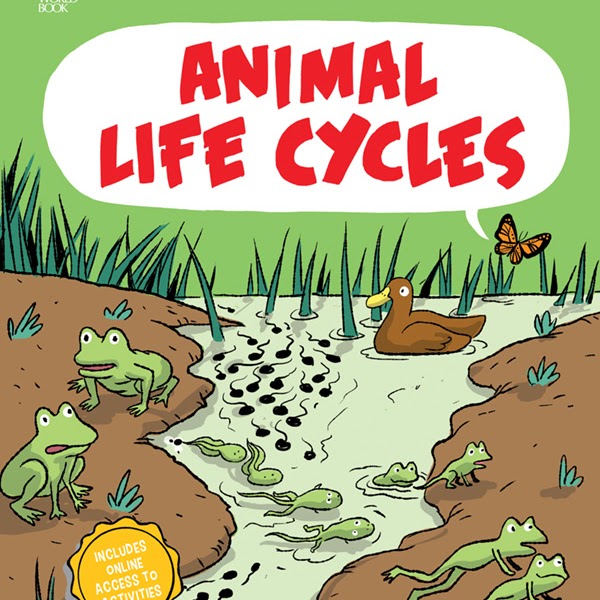 Animal Life Cycles