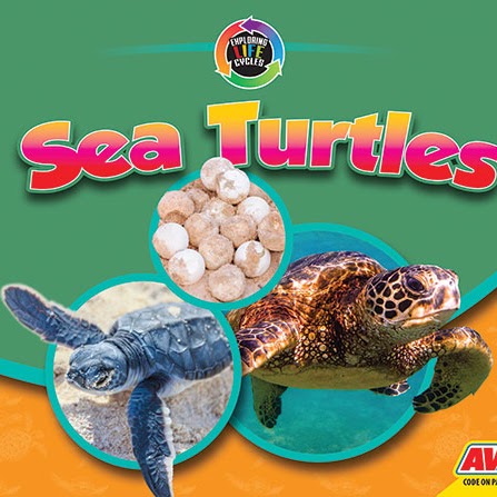 Book cover showing sea turtle eggs, a baby sea turtle and an adult sea turtle