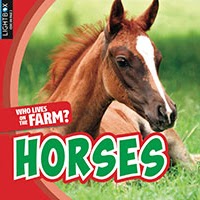 Book cover showing a young horse with brown and white hair sitting in a field