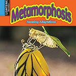 Book cover showing a butterfly emerging from a cocoon