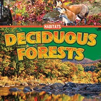 Book cover showing a forest in the fall with several yellow and orange leaves