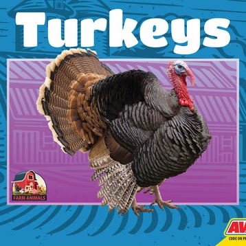 Turkeys 🔊