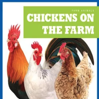 Chickens on the Farm