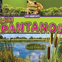Book cover showing a large lake wetland area and a frog