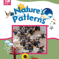 Nature's Patterns 🔊