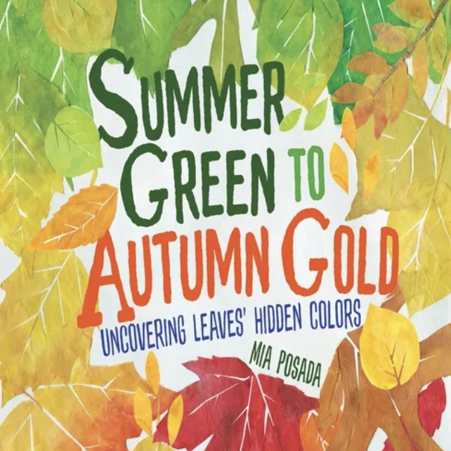 Summer Green to Autumn Gold