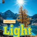 Book cover showing a photo of a tree in the winter with the sun shining