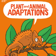 Plant and Animal Adaptations 🔊