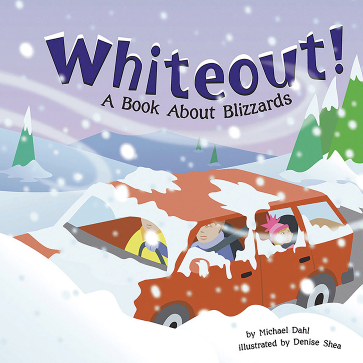 Book cover showing a car in a blizzard covered in snow