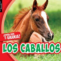 Book cover showing a young horse with brown and white hair in a field