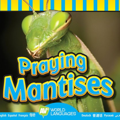 Praying Mantises (multiple languages) 🔊