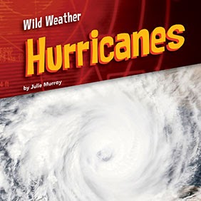 Book cover showing a large hurricane storm from the sky