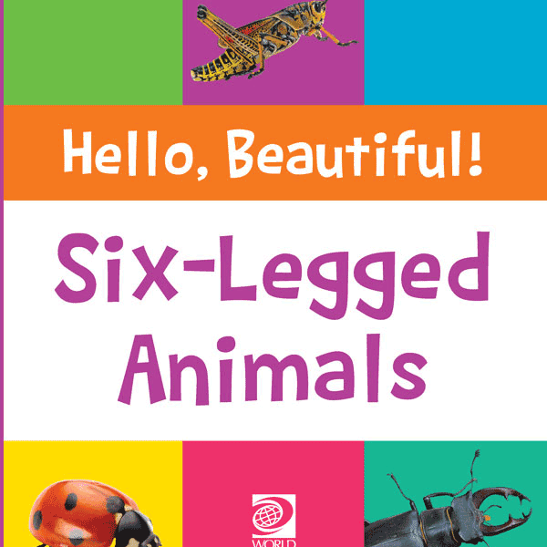 Six-Legged Animals
