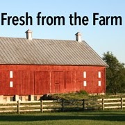 Book cover showing a red barn in a field with a blue sky.