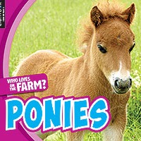 Book cover showing a young pony in a field