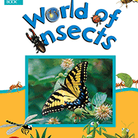 World of Insects 🔊