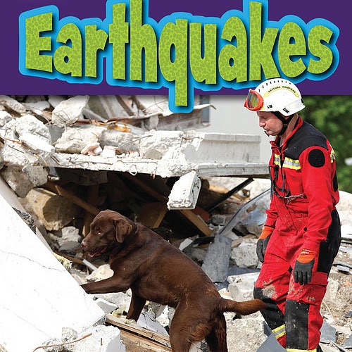 Book cover showing a dog and a rescuer in rubble