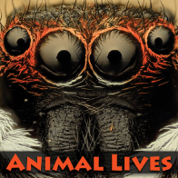 Book cover showing a close up of a spider face