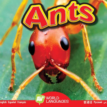 Book cover with an up close image of an ant's head