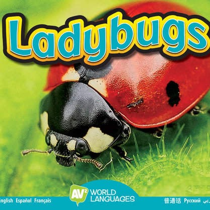 Book cover showing a ladybug on a leaf