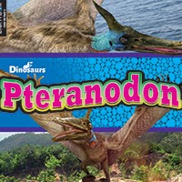 Book cover showing a pteranodon flying in the sky